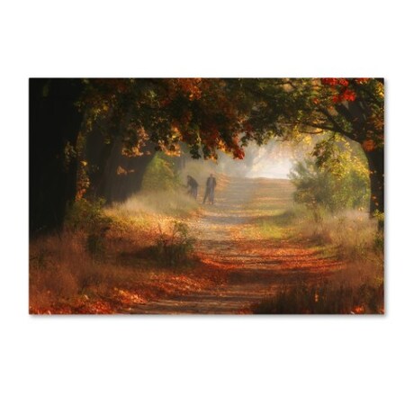 Trademark Fine Art Przemyslaw 'Autumn Road' Canvas Art, 16x24 1X01936-C1624GG